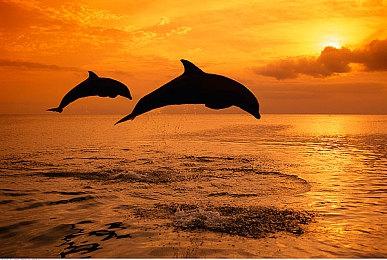 《银河破裂者》发布开发者战役解说影片 将登陆主机和PC